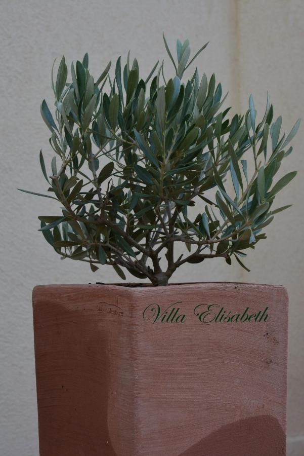 Villa Elisabeth Aix-en-Provence Dış mekan fotoğraf